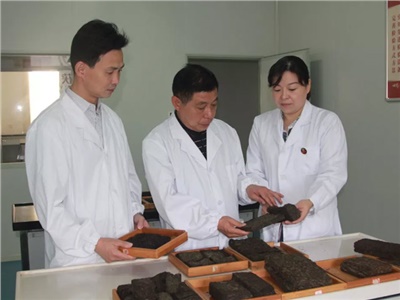 傳承茯茶非遺技藝、開(kāi)拓創(chuàng  )新引領(lǐng)行業(yè)發(fā)展