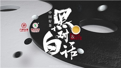 首屆黑白對話(huà)高峰論壇圓滿(mǎn)落幕！湘益茯茶備受關(guān)注！